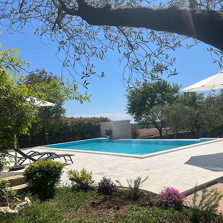 Apartments Fra & Mar With Swimming Pool In 2025 Sorici Εξωτερικό φωτογραφία